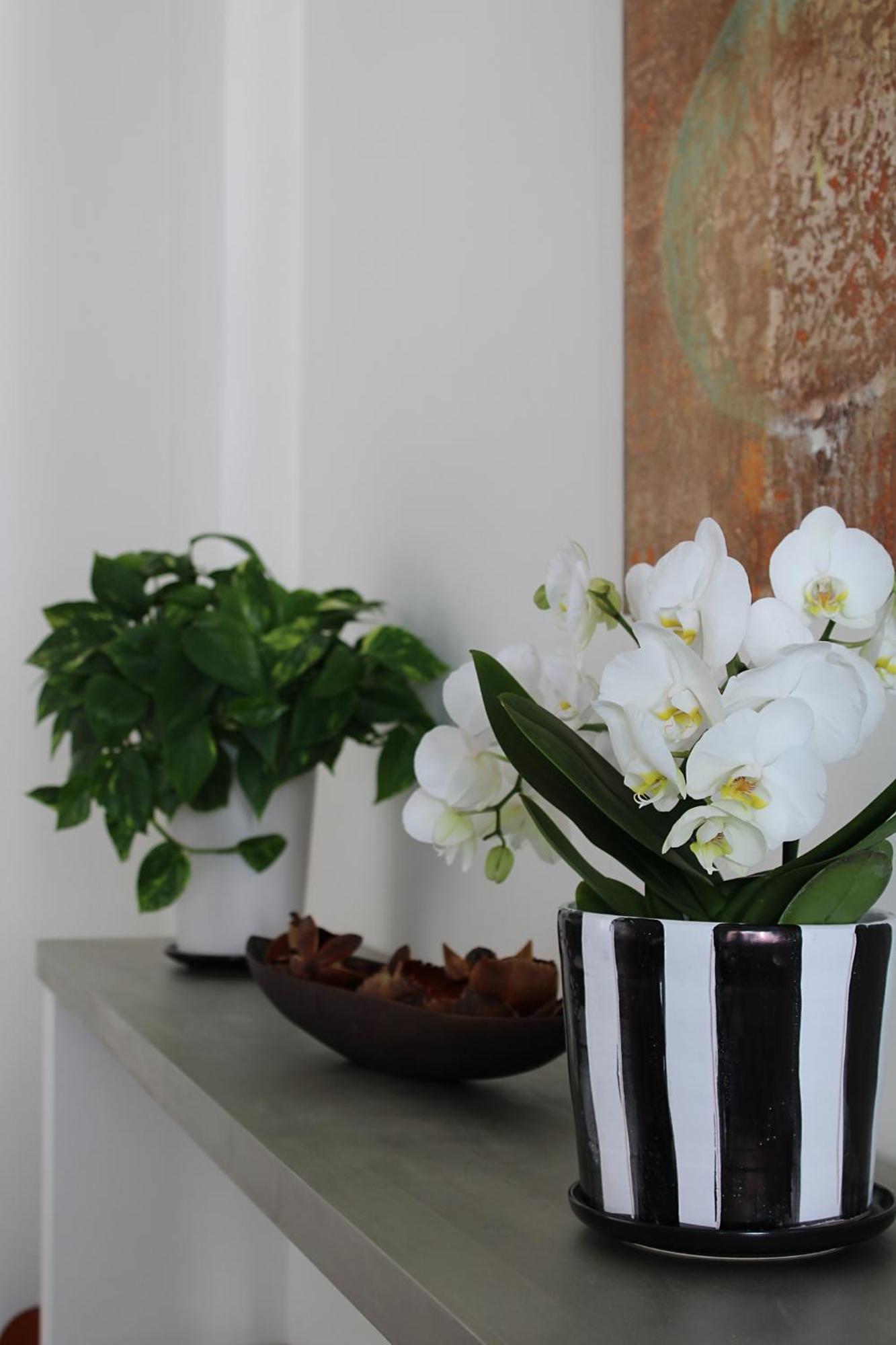 Unico Loft Apartment Rimini Ngoại thất bức ảnh